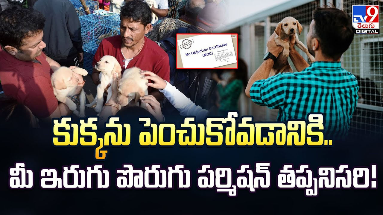 కుక్కను పెంచుకోవడానికి .. మీ ఇరుగు పొరుగు పర్మిషన్ తప్పనిసరి!