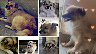 Viral Video: 70 ఏళ్ల వృద్దురాలి గట్స్‌కు నెటిజన్స్‌ ఫిదా… పామును పట్టి…మెడలో చుట్టుకున్న బామ్మ వీడియో వైరల్‌