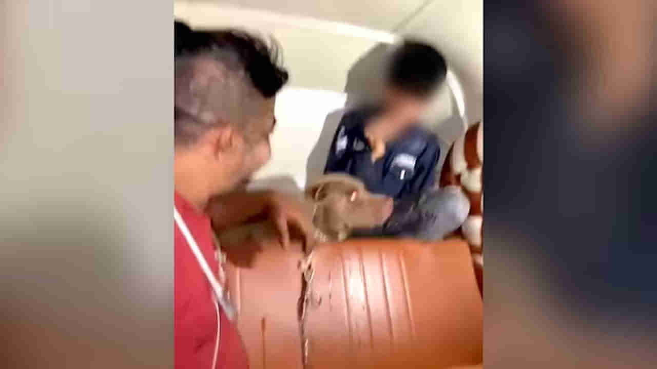 Mumbai Video: 11 ఏళ్ల బాలుడిపై పెంపుడు కుక్క దాడి... నవ్వుతూ కూర్చున్న యజమాని
