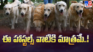 Video: రాత్రి పూట బైక్‌ వెళ్తుండగా పైకి దూసుకొచ్చిన భారీ ఆకారం..! గుండె ఆగినంత పనైంది