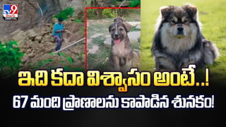 ఆ గుళ్లో అడుగుపెడితే.. మీ పెళ్లి అయినట్లే వీడియో