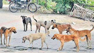 Watch Video: మా నాన్న ఏరోజు రాలేదు.. పేరెంట్స్‌, టీచర్స్‌ మీటింగ్‌లో కేంద్రమంత్రి భావోద్వేగం!