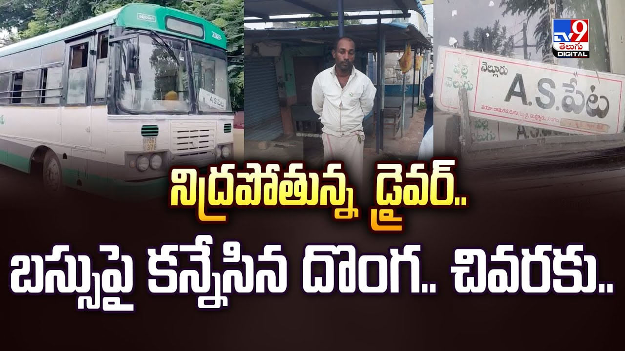 నిద్రపోతున్న డ్రైవర్..బస్సుపై కన్నేసిన దొంగ.. చివరకు వీడియో