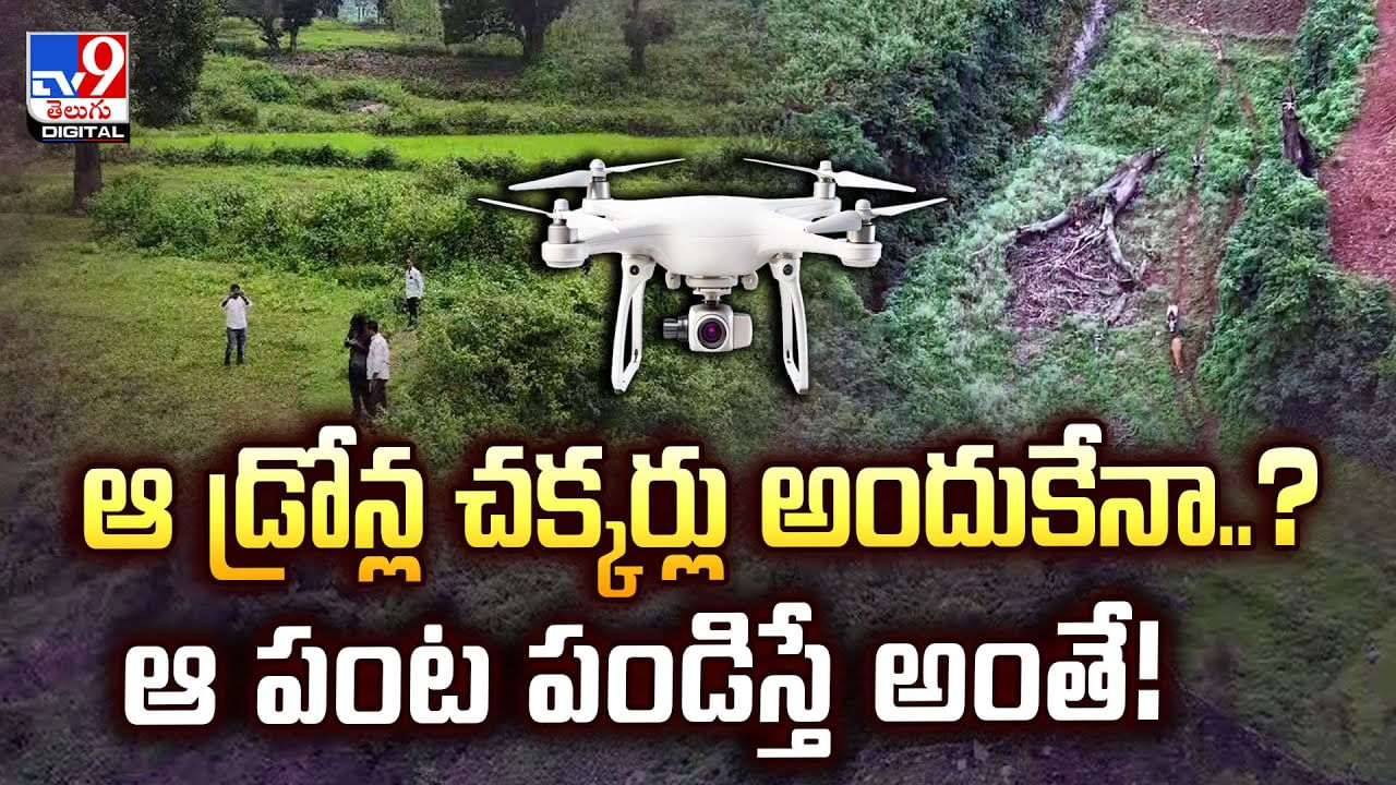 ఆ డ్రోన్ల చక్కర్లు అందుకేనా..? ఆ పంట పండిస్తే అంతే