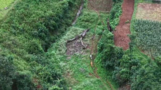 Tirupati: తిరుపతి శివాలయంలో కళ్లు తెరిచిన శివలింగం.. పరమేశ్వరుడి మహత్యమేనంటూ..