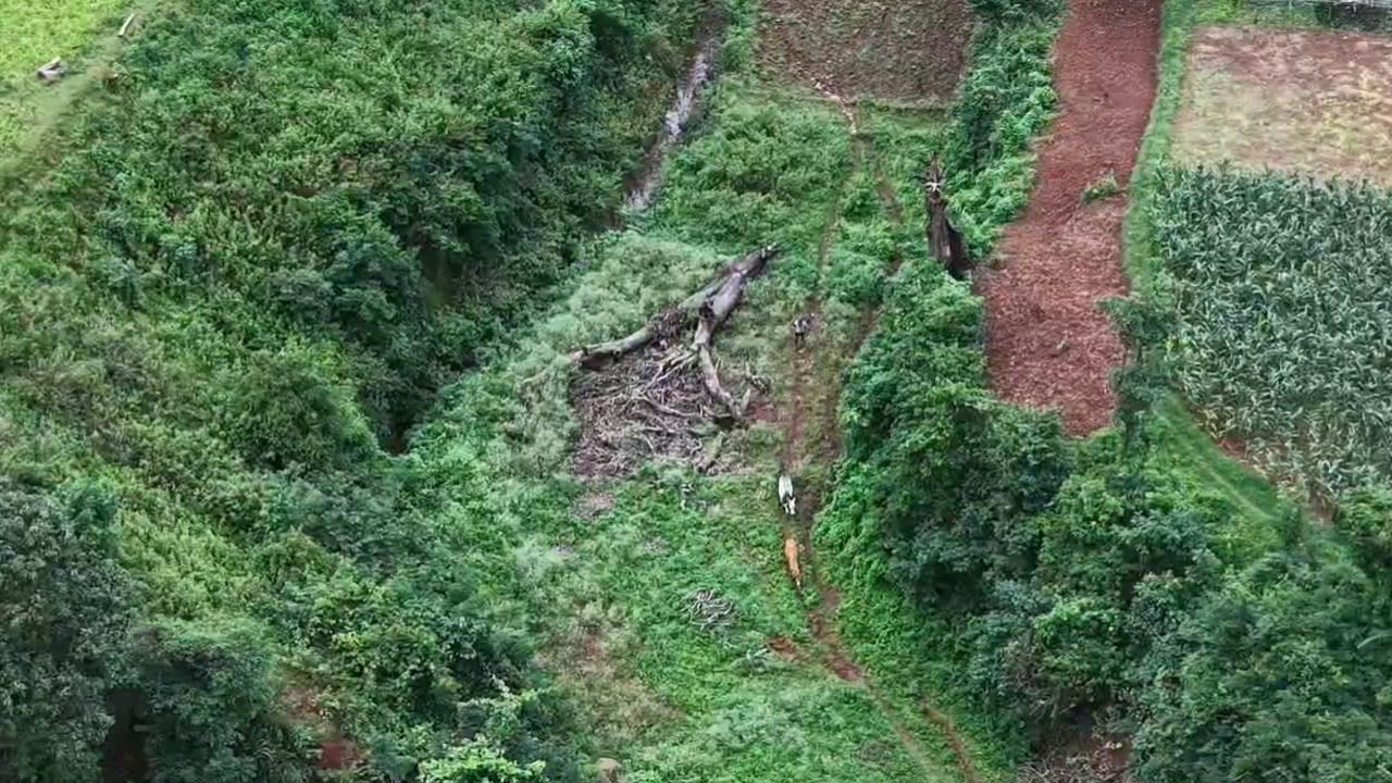 ఆ డ్రోన్ల చక్కర్లు అందుకేనా..? రాష్ట్రంలో ఇక ఆ పంట పండిస్తే అంతే సంగతులు..!