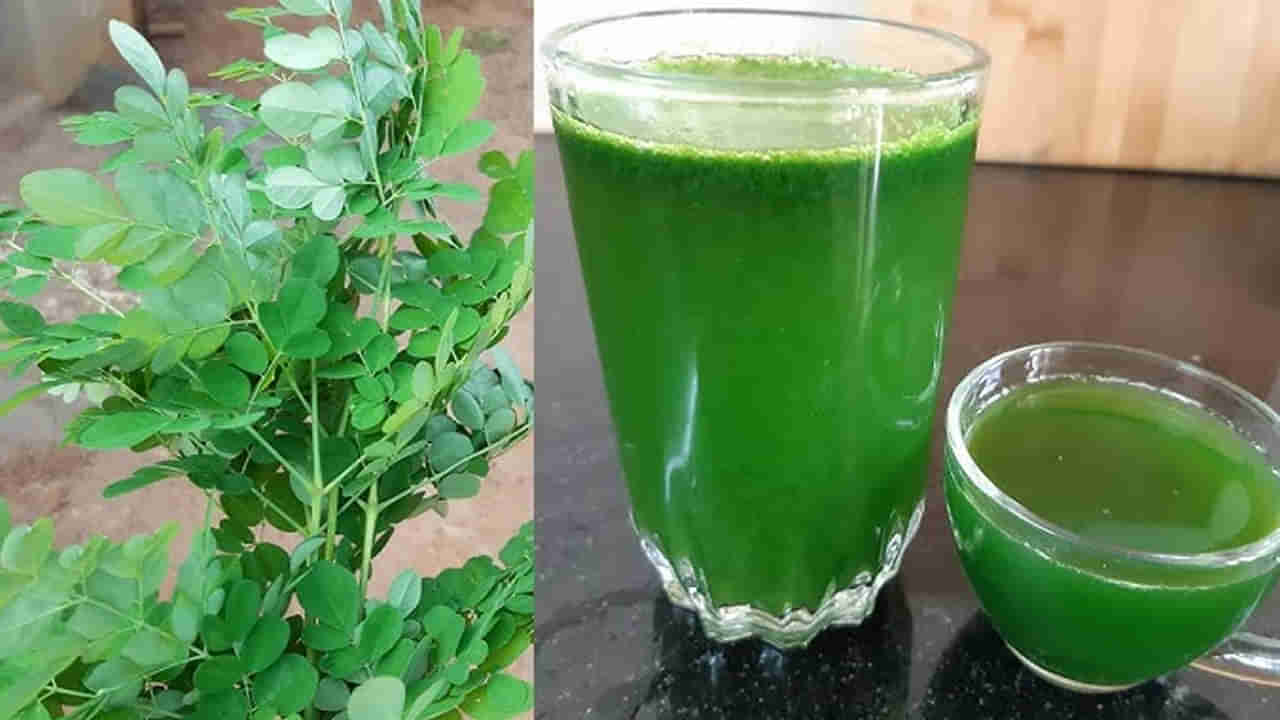 Drumstick Water Benefits: ఉదయాన్నే ఖాళీకడుపుతో మునగాకు నీరు తాగితే.. శరీరంలో జరిగేది ఇదే..!