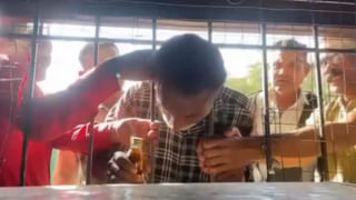 Viral News: వామ్మో.. అనకొండతో డాల్ఫిన్ ల ఆటలు.. షాకైన శాస్త్రవేత్తలు..! కట్‌చేస్తే..