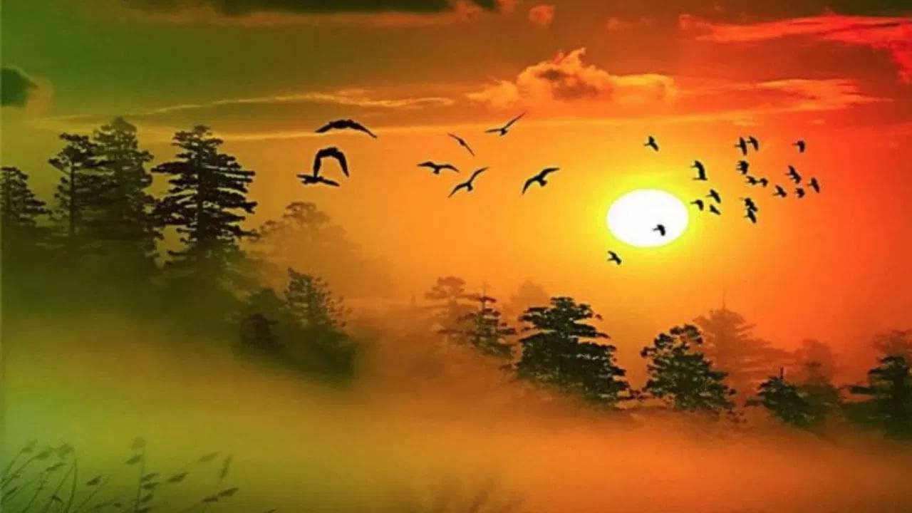 
ఇంటి తూర్పు గోడపై సూర్య భగవానుడి చిత్రం లేదా ఉదయిస్తున్న సూర్యుని చిత్రం ఉంచాలి. వాస్తు శాస్త్రం ప్రకారం, తూర్పు దిశలో ఉదయిస్తున్న సూర్యుని చిత్రాన్ని ఉంచడం వల్ల జీవితంలో కొత్త శక్తి, హోదా, ప్రతిష్ట ,విజయం లభిస్తుంది.