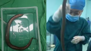 Mysterious Place: M-ట్రయాంగిల్ ఒక రహస్యమా, అద్భుతమా, లేదా మరో ప్రపంచానికి ప్రవేశ ద్వారమా?