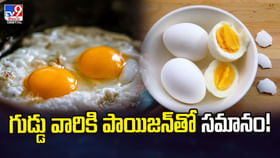 గుడ్డు వారికి పాయిజన్తో సమానం! గుడ్డు వారికి పాయిజన్తో సమానం!