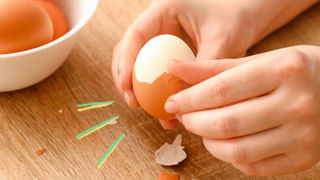 కోల్‌కతా టూర్ వెళ్తున్నారా? ఎకో-ఫ్రెండ్లీ వెకేషన్ గైడ్‎లైన్స్ ఇవే..