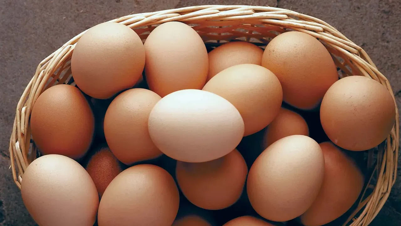 ఆరోగ్యం కోసం రోజుకు కనీసం ఒక గుడ్డైనా తీసుకోవాలని ఆరోగ్య నిపుణులు సూచిస్తుంటారు. గుడ్డులో పలు ప్రోటిన్లు, శరీరానికి అవసరమైన అమైనో ఆమ్లాలు, బి కాంప్లెక్స్ విటమిన్లు అనేకం ఉంటాయి. అందుకే గుడ్డు శరీరానికి మల్టీ విటమిన్‌గా ఉపయోగపడుతుంది. రోగ నిరోధక శక్తిని పెంచడానికి దోహదపడుతుంది. పైగా పెద్దలతో పాటు పిల్లలు కూడా వీటిని ఇష్టంగా తింటారు. 