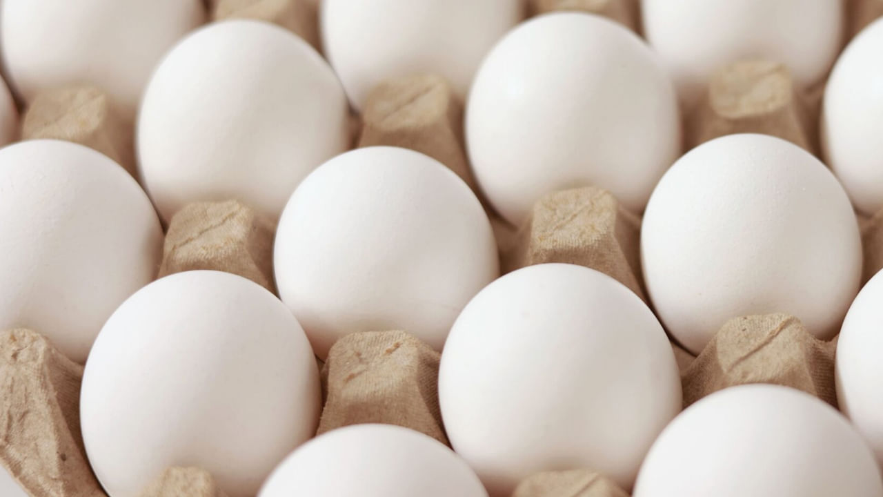 Eggs4