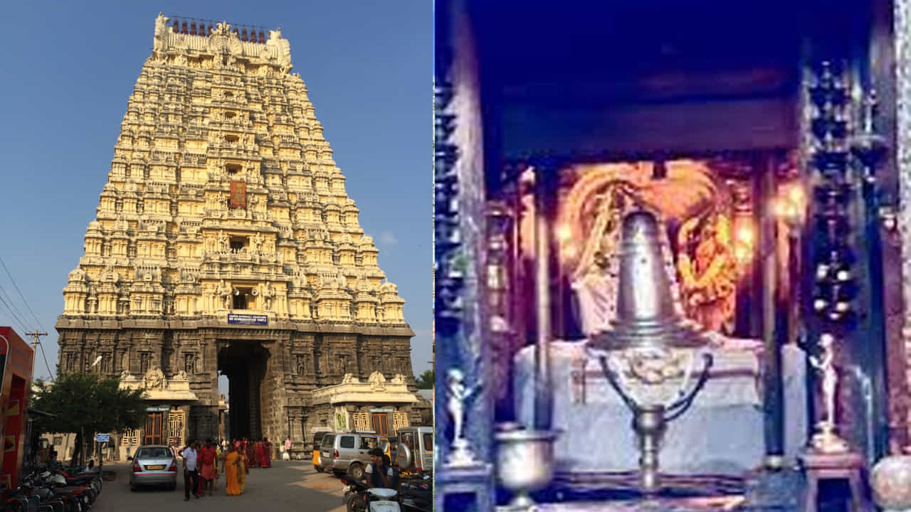 ఏకాంబరేశ్వర ఆలయం, కాంచీపురం: భూమిని ప్రతిబింబించే 'పృథ్వి లింగం' ఉన్న ఏకాంబరేశ్వర ఆలయం కాంచీపురంలోని అతిపెద్ద ఆలయ సముదాయాలలో ఒకటి. శివుడికి అంకితం చేయబడిన ఈ ఆలయం అద్భుతమైన ద్రావిడ నిర్మాణ శైలిని కలిగి ఉంది. విస్తారమైన ఆలయ చెరువు, పచ్చదనంతో చుట్టుముట్టబడి ఉంది. స్థిరత్వం, సంతానోత్పత్తి, శ్రేయస్సు కోసం ఆశీస్సులు పొందడానికి భక్తులు ఇక్కడకు వస్తారు. ఇక్కడ కామాక్షి అమ్మన్ ఆలయం, వరదరాజ పెరుమాళ్ ఆలయం, కైలాసనాథర్ ఆలయం దర్శించవచ్చు.