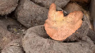 పుచ్చ‌కాయ‌ గింజలను పడేస్తున్నారా.? ఆ ప్రయోనాలు కోల్పోతారు జాగ్రత్త..