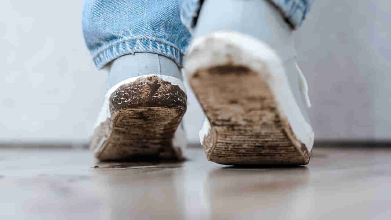 Feng Shui Tips: బయట తిరిగిన చెప్పులు, బూట్లతో ఇంట్లోకి ప్రవేశించడం మంచిదేనా.. తెలుసుకోండి..