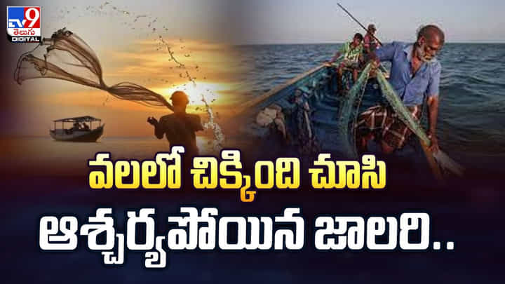 జాలరి పంట పండింది పో.. వలలో పడింది చూసి మైండ్ బ్లాక్ జాలరి పంట పండింది పో.. వలలో పడింది చూసి మైండ్ బ్లాక్