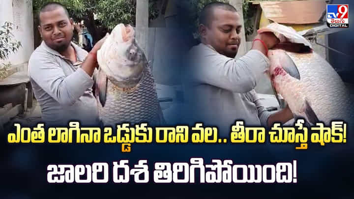 ఎంత లాగినా ఒడ్డుకు రాని వల.. తీరా చూస్తే షాక్! జాలరి దశ తిరిగిపోయింది ఎంత లాగినా ఒడ్డుకు రాని వల.. తీరా చూస్తే షాక్! జాలరి దశ తిరిగిపోయింది