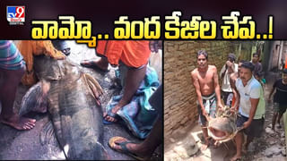 పారితోషికం పెంచేసిన జాన్వీ.. పెద్ది’కి ఎంత తీసుకుంటుందో తెలుసా?
