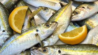 పిస్తా పప్పులు అతిగా తింటే అంతే సంగతులు..! ఏం జరుగుతుందో తెలుసా..?