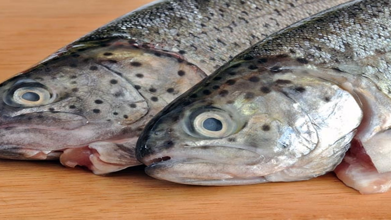 చేప కళ్ళు రక్తపోటును తగ్గించడంలో కీలకంగా పనిచేస్తాయని నిపుణులు చెబుతున్నానరు. చేప కళ్ళలో ఉండే కొవ్వు ఆమ్లాలు మెదడు ఆరోగ్యాన్ని మెరుగుపరుస్తాయి. చేప కళ్ళను తినడం వల్ల మనకు నైట్ బ్లైండ్నెస్ వంటి సమస్యలు రాకుండా ఉంటాయి. చేప కళ్ళు మన రోగనిరోధక వ్యవస్థను బలపరిచి, సమర్థవంతంగా పనిచేస్తాయి.