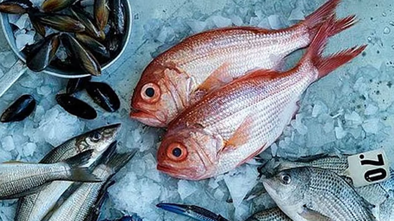 వర్షాకాలంలో వర్షాల వలన నీటి కాలుష్యానికి, సూక్ష్మజీవుల పెరుగుదలకు కారణం అవుతాయి. ఇవి జల పర్యావరణ వ్యవస్థలపై తీవ్రంగా ప్రభావితం చేస్తాయి. ఫలితంగా చేపలు నివసించే నీటిలో హానికరమైన బ్యాక్టీరియా, పరాన్నజీవులు, విషపదార్థాలకు గురవుతాయి. కలుషితమైన చేపలను తినడం వల్ల గ్యాస్ట్రోఎంటెరిటిస్, టైఫాయిడ్, కలరా, హెపటైటిస్ ఎ వంటి ఆహార సంబంధిత అనారోగ్యాలు వస్తాయి. అంతేకాదు వర్షాకాలంలో అధిక తేమ చేపలు వేగంగా చెడిపోయేలా చేస్తాయి. అవి తాజాగా కనిపించినప్పటికీ తినడానికి సురక్షితం కాదు.
