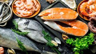 ఇలాంటి తాబేలు మీ ఇంట్లో ఉంటే అదృష్టం మీ వెంటే..! ఈ తప్పులు మాత్రం చేయకండి..