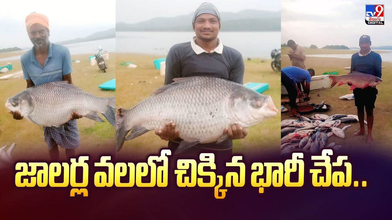 జాలర్ల వలలో చిక్కిన అసలు సిసలైన చేప.. అబ్బా అదృష్టం ఆంటే ఇతనిదే