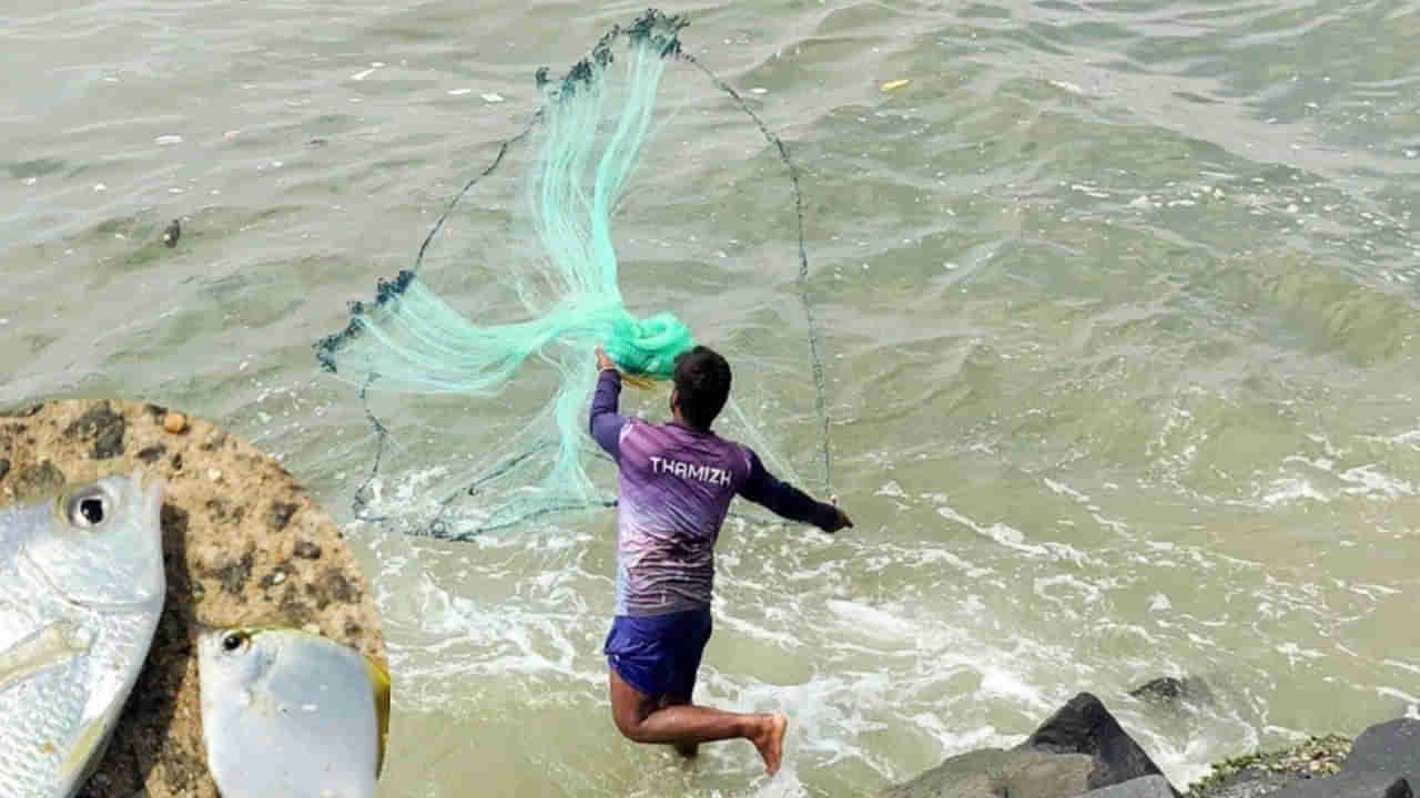 Telangana: జాలరి వెంకట్రాముడు అన్నకి శనివారం కలిసొచ్చింది - వల వేస్తే ఏం చిక్కిందో తెల్సా..?