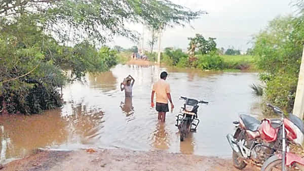 Telangana: : వరదలో కొట్టుకువచ్చిన ప్యాకెట్లు - వాటి లోపల ఏముందా అని చూడగా
