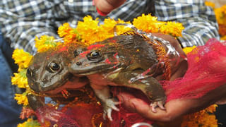 Viral Video: ఎలా వస్తాయి రా సామీ ఇలాంటి ఐడియాలు.. పాత వాషింగ్‌ మెషిన్‌తో ఇలా కూడా చేస్తారా? నెట్టింట్లో వీడియో వైరల్‌