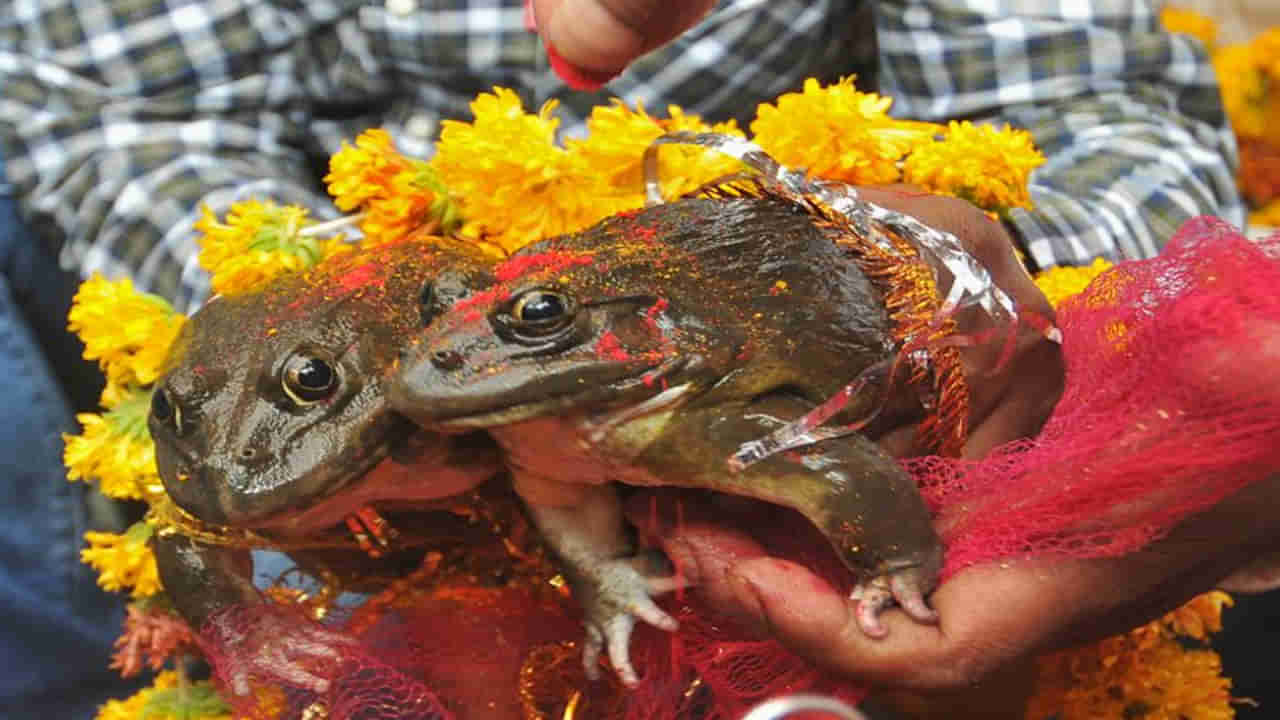 వెరైటీ పూజలు.. వానల కోసం వింత ఆచారం.. ఆ రాత్రికే కుండపోత వర్షం