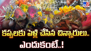 పాములకు ఇవంటే చచ్చేంత భయం