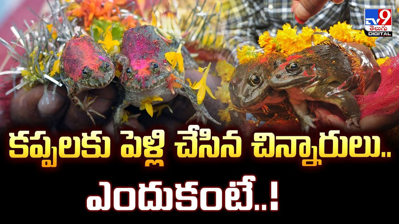 కప్పలకు పెళ్లి చేసిన చిన్నారులు.. ఎందుకంటే