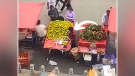 Viral Video: కళ్లు మూసి తెరిచే లోపే కల్తీ చేసేస్తారు... Viral Video: కళ్లు మూసి తెరిచే లోపే కల్తీ చేసేస్తారు...