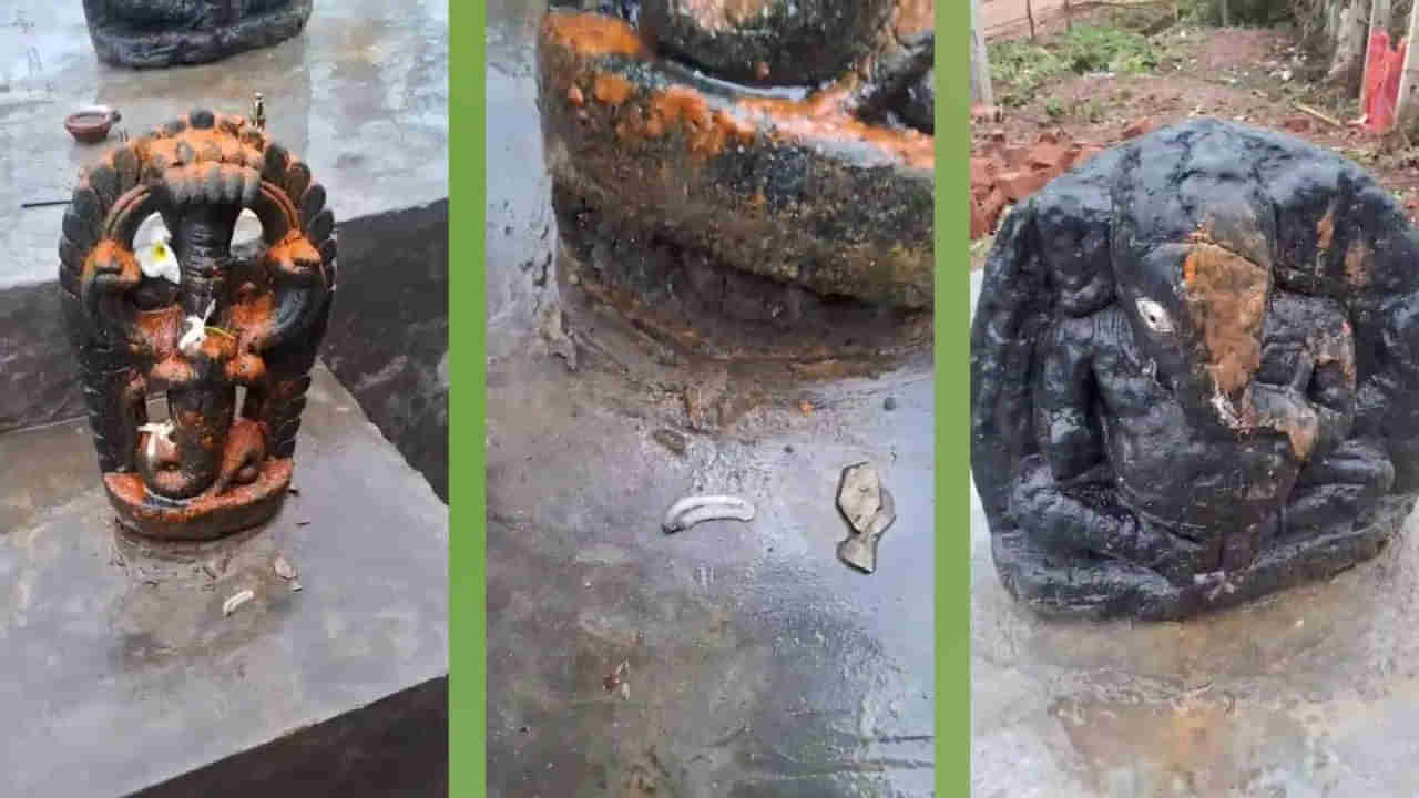 గణేషుడి విగ్రహాన్ని కాలితో తన్ని.. నాగ దేవత విగ్రహాన్ని నదిలో పడేశాడు..!