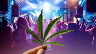 Indiramma Housing Scheme: ఇందిరమ్మ ఇళ్ల లబ్దిదారులకు గుడ్ న్యూస్.. సిమెంట్, స్టీల్ ధరలపై భారీ ఊరట