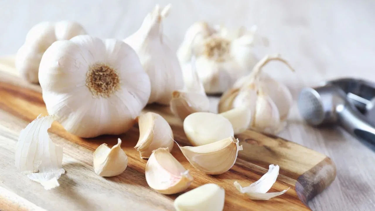 వెల్లుల్లిలో ఉండే ప్రధాన సమ్మేళనం అల్లిసిన్. వెల్లుల్లిని నలగ్గొట్టినప్పుడు లేదా కోసినప్పుడు ఇది ఉత్పత్తి అవుతుంది. వెల్లుల్లిని నలగ్గొట్టగానే వచ్చే ఆ ఘాటైన వాసన, అందులో ఉండే అల్లిసిన్ అనే పదార్థం వల్లే వస్తుంది. ఇదే దాని అద్భుతమైన ఆరోగ్య ప్రయోజనాలకు ప్రధాన కారణం అంటున్నారు నిపుణులు. వెల్లుల్లి రోగనిరోధక శక్తిని బలపరుస్తుంది. యాంటీబయాటిక్‌గా పనిచేస్తుంది. పచ్చి వెల్లుల్లి క్రిములను చంపుతుంది. అల్లిసిన్ యాంటీమైక్రోబయల్ లక్షణాలను కలిగి ఉందని నిరూపించబడింది.