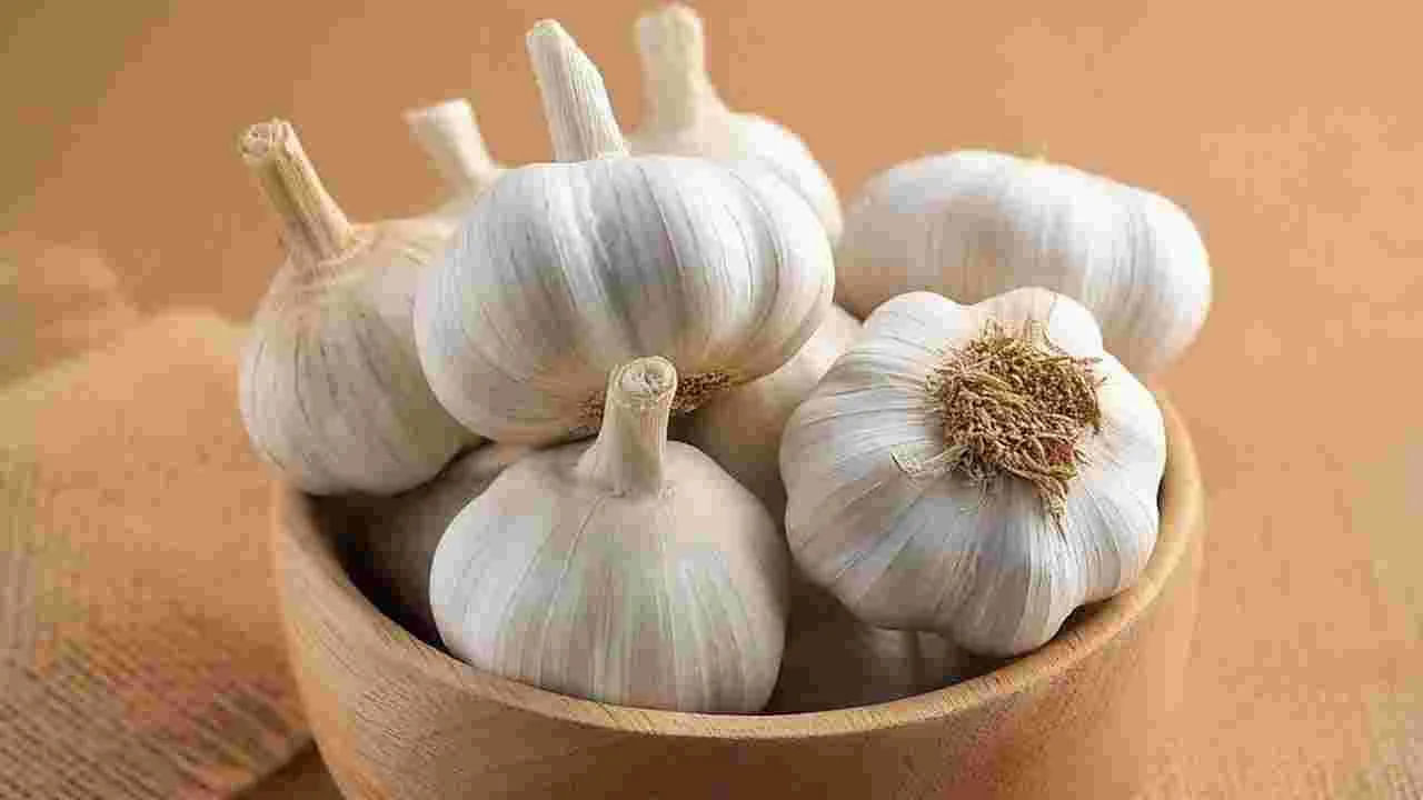 వెల్లుల్లి ఇమ్యూనిటీ వ్యవస్థను కూడా బలపరుస్తుంది. రాత్రి పడుకునే ముందు వెల్లుల్లి తినడం వల్ల రోగనిరోధక శక్తి బలపడుతుంది. ఎందుకంటే, ఇందులో అల్లిసిన్, విటమిన్ సి, విటమిన్ బి6, మాంగనీస్, సెలీనియం వంటి పోషకాలు ఉంటాయి. మీ శరీరం ఇన్ఫెక్షన్లతో పోరాడటానికి సహాయపడుతుంది. జలుబు, ఫ్లూ, సైనస్ ఇన్ఫెక్షన్లను నివారించవచ్చు.