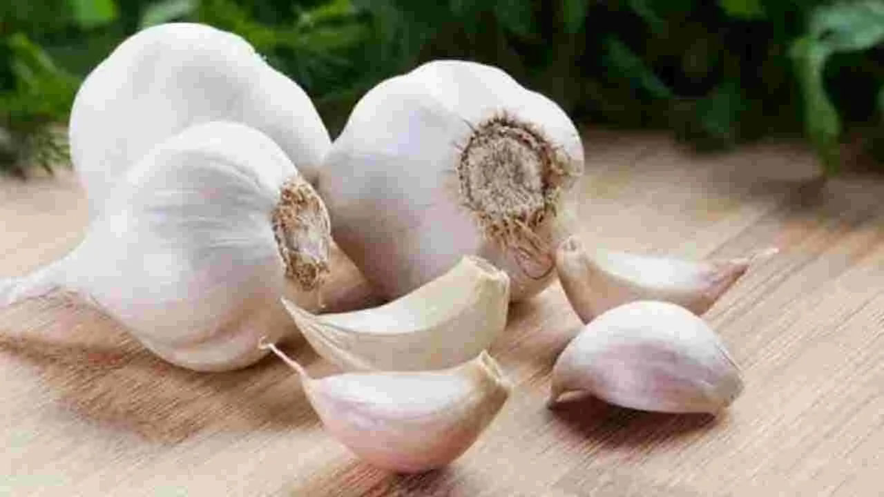 వెల్లుల్లి గుండె ఆరోగ్యానికి సహాయపడుతుంది. రక్తపోటును కూడా నిర్వహిస్తుంది. హైపర్టెన్షన్ సమస్యలను కూడా తగ్గిస్తుంది. వెల్లుల్లిలో డిటాక్సిఫికేషన్ చేసే గుణం ఉంటుంది. ఇది మన శరీరంలో విషపదార్థాలు బయటకు పంపుతుంది. అంతేకాదు ఇది కాలేయ ఆరోగ్య పరిస్థితిని కూడా మెరుగు చేస్తుంది.