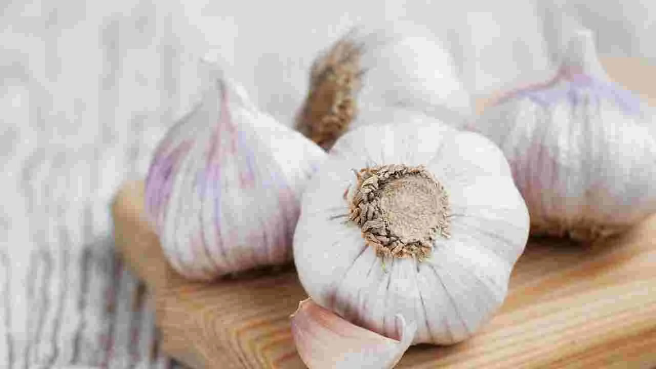 పడుకునే ముందు వెల్లుల్లి తినడం వల్ల కాలేయ ఎంజైమ్లు సక్రియం అవుతాయి. వెల్లుల్లి తినడం వల్ల శరీరంలో మంట తగ్గుతుంది. వెల్లుల్లిలో డయాలిల్ డైసల్ఫైడ్ వంటి యాంటీ ఇన్ఫ్లమేటరీ సమ్మేళనాలు కీళ్ల, కండరాల నొప్పి నుండి ఉపశమనం కలిగిస్తాయి. వెల్లుల్లి ఆర్థరైటిస్ సమస్యకు ఉపశమనం కలిగిస్తుంది.