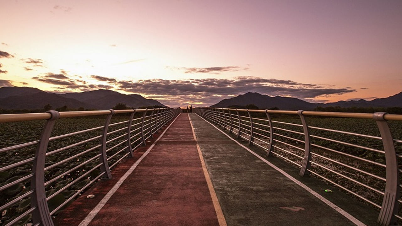 గురు గ్రామ్‌లోని అశోక  విహార్ ఫ్లైఓవర్ కూడా దెయ్యాలకు కథలకు ప్రసిద్ధి చెందిన ప్రదేశం. ఈ ప్రదేశంలో తెల్ల చీరలో ఓ మహిళ సహాయం అడుగుతూ చాలా మంది డ్రైవర్లకు కనిపించిందంట. కానీ వాహనం ఆగిన వెంటనే ఆమె మాయమై పోయేదంట. అంతే కాకుండా ఆమె మాయం అయిన తర్వాత ఏవేవో శబ్ధాలు వినిపించేవాంట. అయితే ఆ మహిళ రోడ్డు ప్రమాదంలో మరణించిందని స్థానికులు నమ్ముతారు.