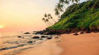 Beauty Tips: నుదుటిపై మొటిమలు ఇబ్బంది పెడుతున్నాయా.? ఈ చిట్కాలతో ఉపశమనం..