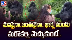 మనిషైనా..జంతువైనా.. ఆ విషయం లో భార్యకు వణకాల్సిందే మనిషైనా..జంతువైనా.. ఆ విషయం లో భార్యకు వణకాల్సిందే