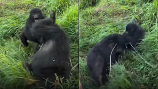 రూ.4.3 కోట్లతో కారు కొని.. ఇంట్లో వేలాడాదీశాడు..! ఎందుకో తెలిస్తే ఆశ్చర్యపోతారు..