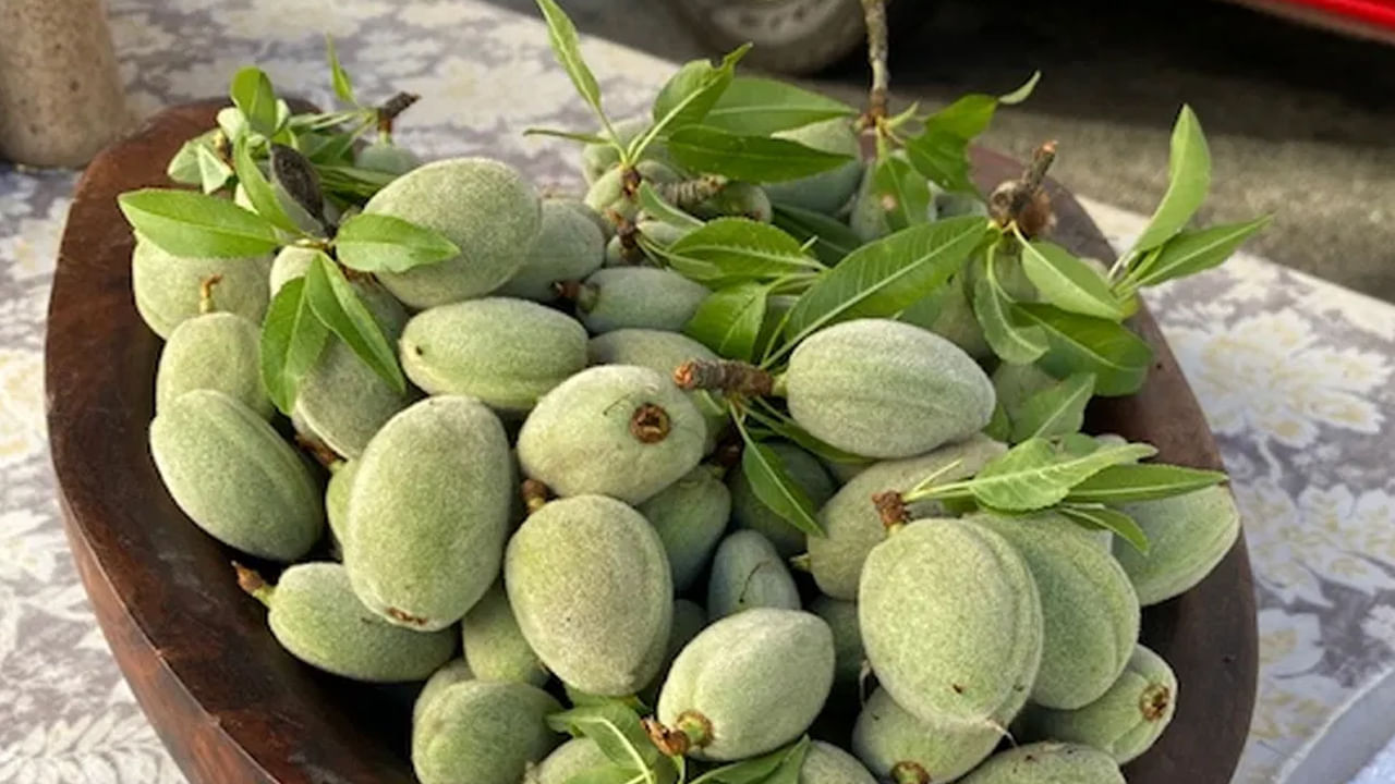 పోషకాల శోషణలో ఇబ్బందులు.. పచ్చి బాదం పప్పులను ఎక్కువగా తినడం వల్ల మన శరీరం కొన్ని రకాల పోషకాలు గ్రహించలేని పరిస్థితి ఏర్పడుతుంది. ఎందుకంటే ఆకుపచ్చ బాదంలో టానిన్ ఉంటుంది. ఇది మన జీవక్రియకు ఆటంకం కలిగిస్తుంది.