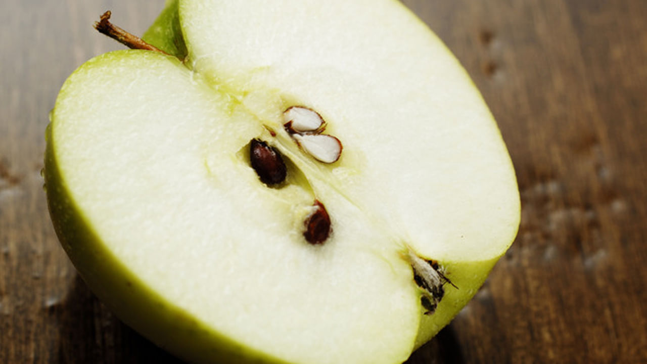 2015 పరిశోధనల ప్రకారం, ఒక గ్రాము ఆపిల్ గింజలలో అమిగ్డాలిన్ ఒకటి నుంచి నాలుగు మిల్లీగ్రాముల మధ్య ఉంటుంది. ఇది వివిధ రకాల ఆపిల్‌లను బట్టి ఉంటుంది. అయితే, విత్తనాల నుంచి విడుదలయ్యే సైనైడ్ పరిమాణం చాలా తక్కువగా ఉంటుంది. 50-300 mg హైడ్రోజన్ సైనైడ్ ప్రాణాంతకం కావచ్చు. ఒక గ్రాము ఆపిల్ గింజలో 0.6 mg హైడ్రోజన్ సైనైడ్ ఉంటుంది. అంటే 80 నుంచి 500 గింజలు తింటే మనిషికి ప్రాణాపాయం తప్పదు. ఇక పరిశోధనలో, శాస్త్రవేత్తలు అమిగ్డాలిన్‌ను నివారించడానికి, యాపిల్స్ తినడానికి, యాపిల్ జ్యూస్ తాగే ముందు వాటి విత్తనాలను తొలగించడం మంచిదని సలహా ఇచ్చారు. ముఖ్యంగా పిల్లలకు ఆపిల్ గింజలు తీసిన తర్వాత తినిపించాలి.