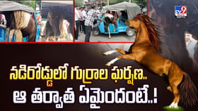 నడిరోడ్డులో గుర్రాల ఘర్షణ.. ఆ తర్వాత ఏమైందంటే వీడియో నడిరోడ్డులో గుర్రాల ఘర్షణ.. ఆ తర్వాత ఏమైందంటే వీడియో