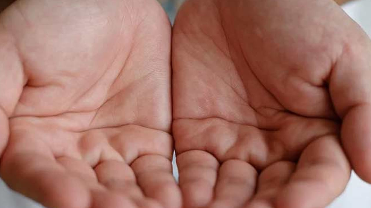 ఇక అరచేతులు చిన్నగా ఉన్నవారు చాలా సౌమ్యులు. వీరు ఎక్కువగా నిశ్శబ్ధంగా ఉండటానికి ఆసక్తి చూపుతారంట. ఇలాంటి వ్యక్తులకు తమ జీవితం విలాసవంతంగా ఉండాలనే ఆశ, కోరిక ఎక్కువగా ఉండదంట. అంతే కాకుండా వీరికి కాస్త కోపం కూడా ఎక్కువే. అలాగే వీరు ఏది చెప్పాలనుకున్నా ముఖంపైనే చెప్పేస్తుంటారంట. దీని వలన వీరికి కొంత ప్రయోజనం కలిగినా, సమస్యలు కూడా వస్తుంటాయంట. కానీ వీరు ఎప్పుడు ప్రశాంతంగా ఉండటానికి ఇష్టపడుతారంట.